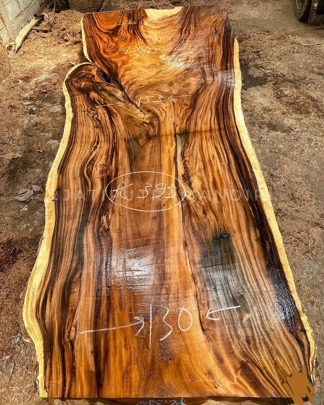 Templates WebAcappella Fusion